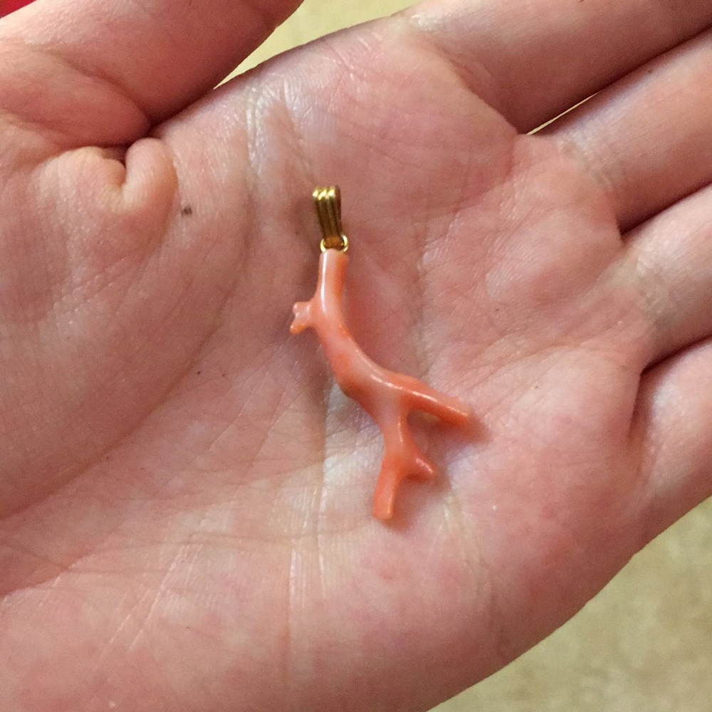 Coral Pendant
